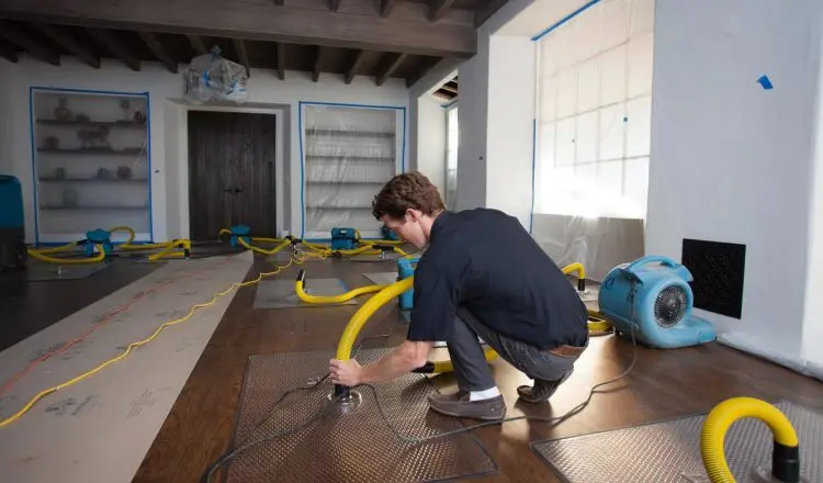 The Essential Role of Water Damage Restoration Services