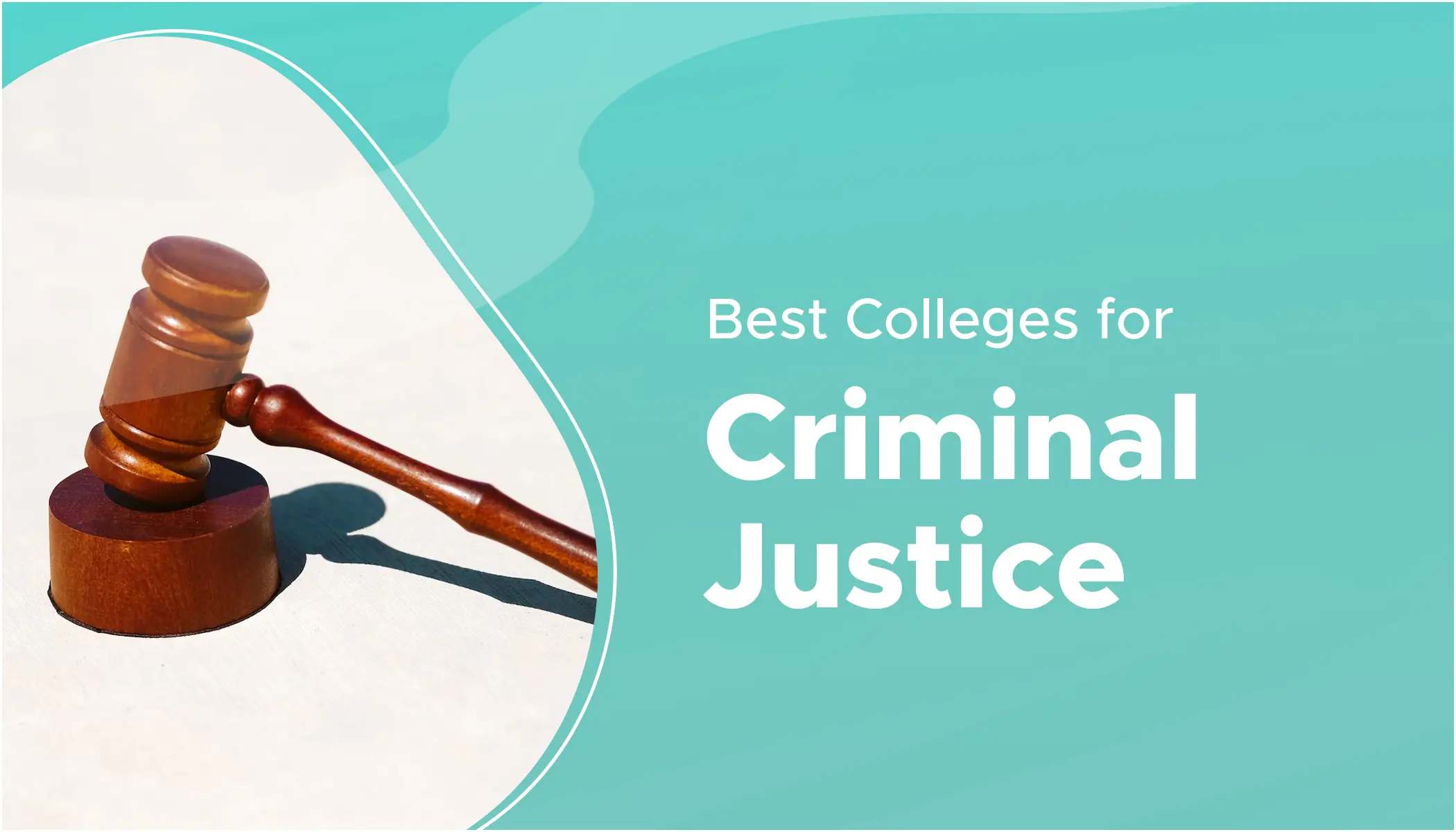 Top Affordable Online Bachelor's Degrees and Programs in Criminal Justice (2025)