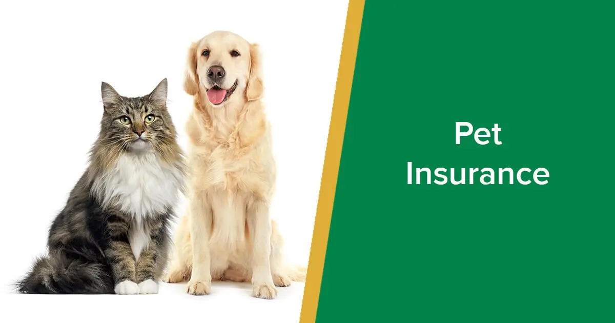 Top Pet Insurance Companies of 2025