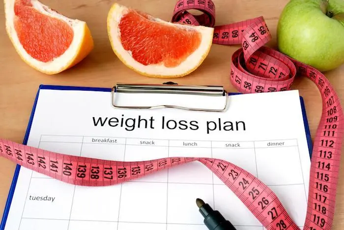 Shedding Pounds in 2025: Top Weight Loss Programs to Consider