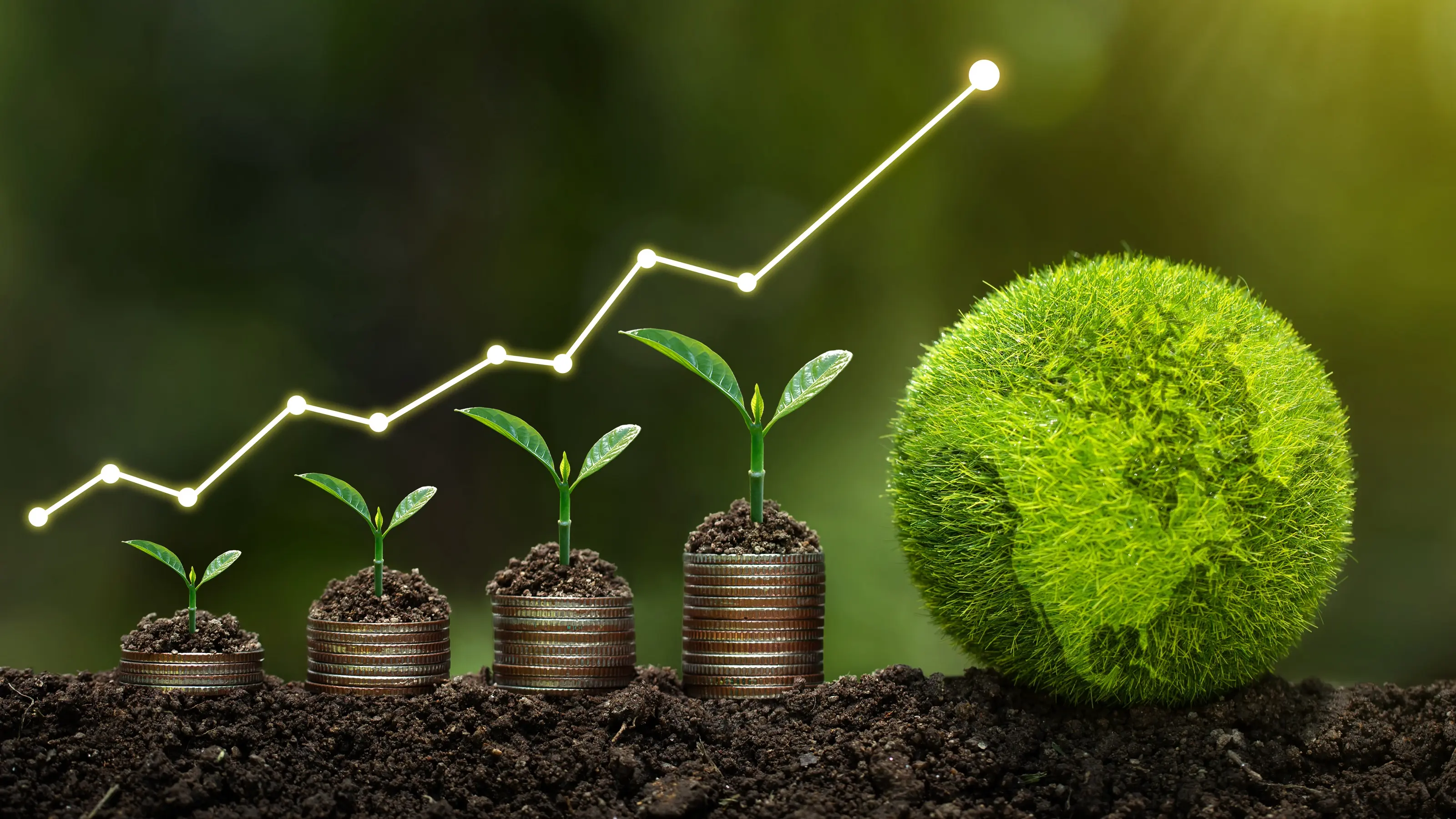 Exploring Sustainable Investment Options: Green Bonds, Impact Funds, and More