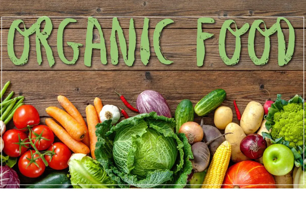 Best Organic Baby Food Brands: Healthy Choices for Your Little One