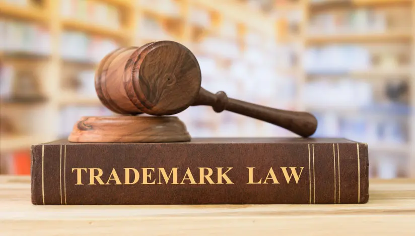 Protect Your Brand in 2025: Work With a U.S. Trademark Lawyer